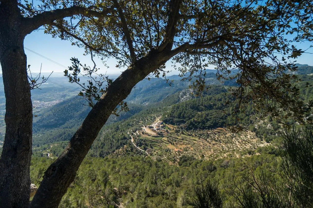 El Nido De Alaro - Turismo De Interior 3*,  Spain